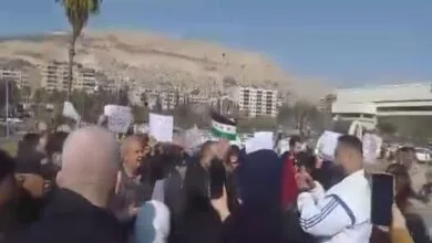 ارتباط فردا