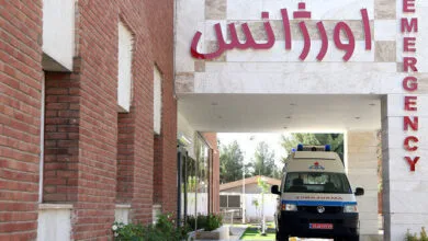 ارتباط فردا
