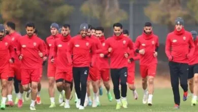 ارتباط فردا