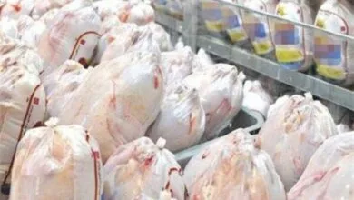 قیمت مرغ و گوشت در استان سمنان نزولی شد