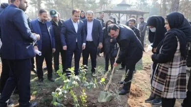 ارتباط فردا