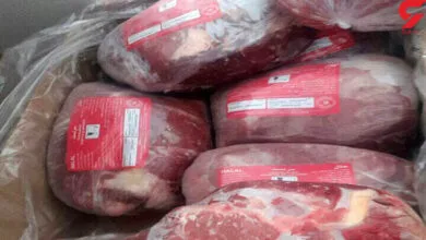ارتباط فردا