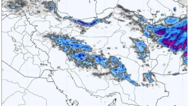 ارتباط فردا