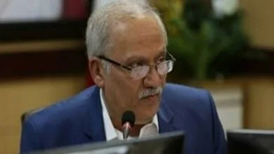 ارتباط فردا