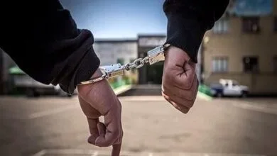 ارتباط فردا