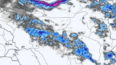 ارتباط فردا