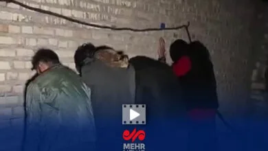 ارتباط فردا