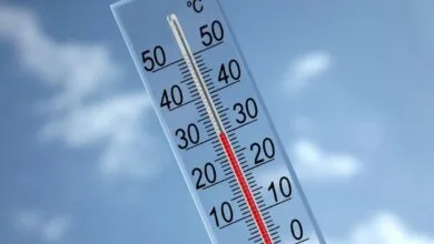ارتباط فردا