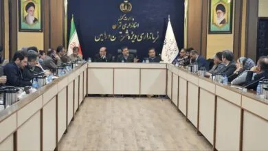 ارتباط فردا