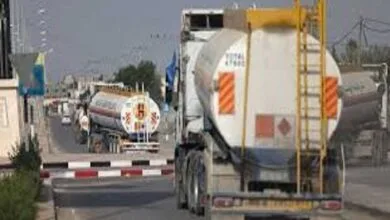 ارتباط فردا