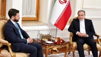دیدار معاون وزیر امور خارجه ارمنستان با عراقچی