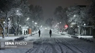 ارتباط فردا