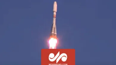 ارتباط فردا