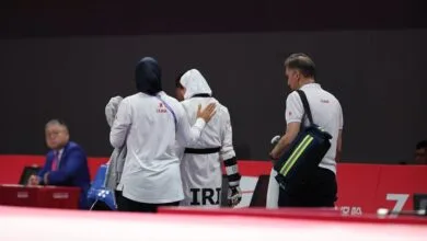 ارتباط فردا