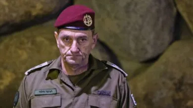 ارتباط فردا