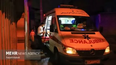 ارتباط فردا