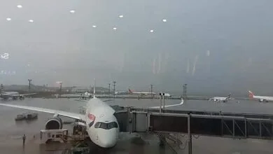 ارتباط فردا