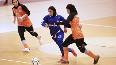 ارتباط فردا
