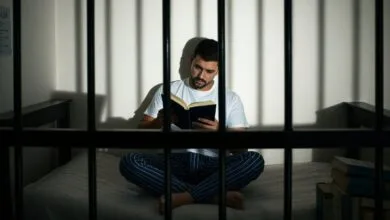ارتباط فردا