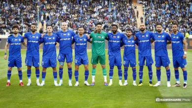 ارتباط فردا