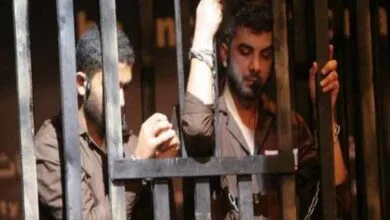 ارتباط فردا