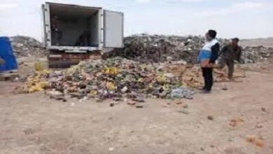 ارتباط فردا