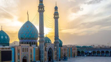 ارتباط فردا