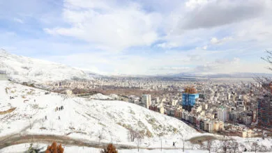 ارتباط فردا