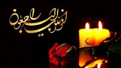 عضو هیئت‌علمی دانشگاه شریف و برادر شهید چمران درگذشت