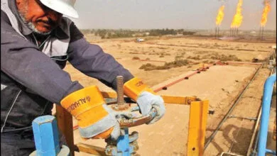 ارتباط فردا