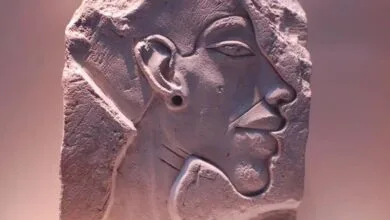 ارتباط فردا
