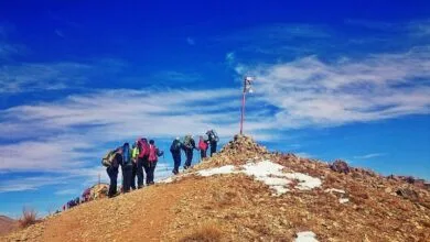 ارتباط فردا