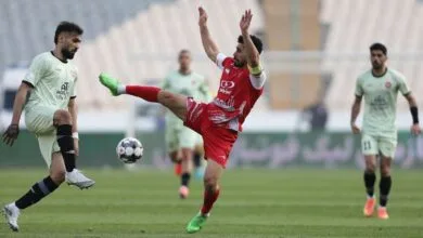 ارتباط فردا