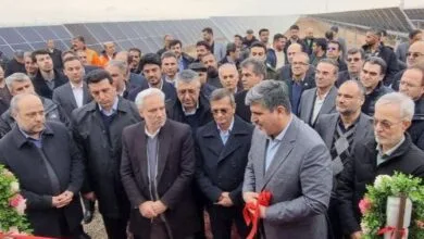 ارتباط فردا