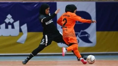 ارتباط فردا