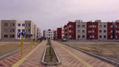 ارتباط فردا