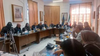 ارتباط فردا