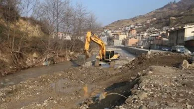 ارتباط فردا