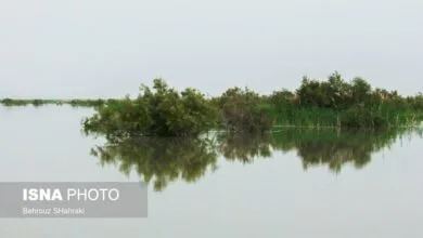 رایزنی مقامات ایران و افغانستان در ارتباط با احیای تالاب هامون