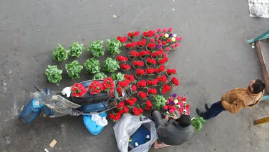 ارتباط فردا