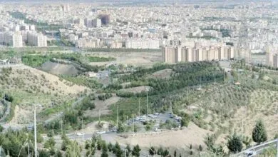 ارتباط فردا