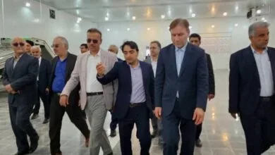سرمایه‌گذاری در صنایع مرتبط با آبزیان در استان بوشهر حمایت می‌شود