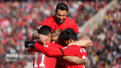 ارتباط فردا