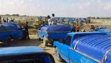 ارتباط فردا