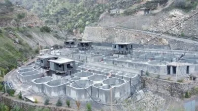 ارتباط فردا