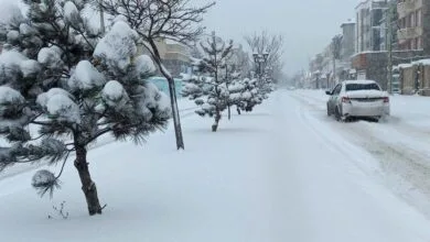 برف و باران در راه فارس