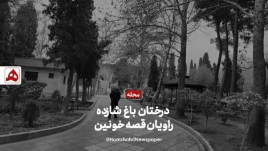 ارتباط فردا