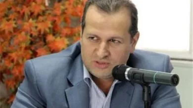 نگاه سیاسی به تعاونی‌ها سودآوری را کاهش می‌دهد