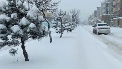 ارتباط فردا