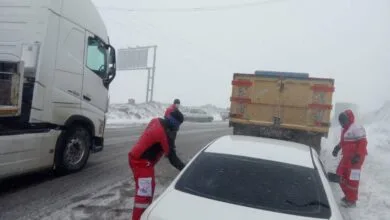 ارتباط فردا